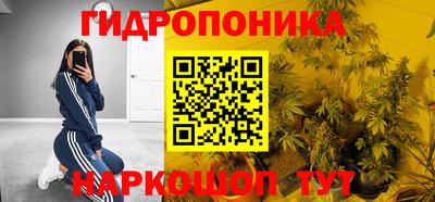 стафф Обь