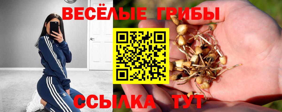 Галлюциногенные грибы Psilocybine cubensis  Вход с VPN  Псилоцибиновые грибы GOLDEN TEACHER  Семёнов 